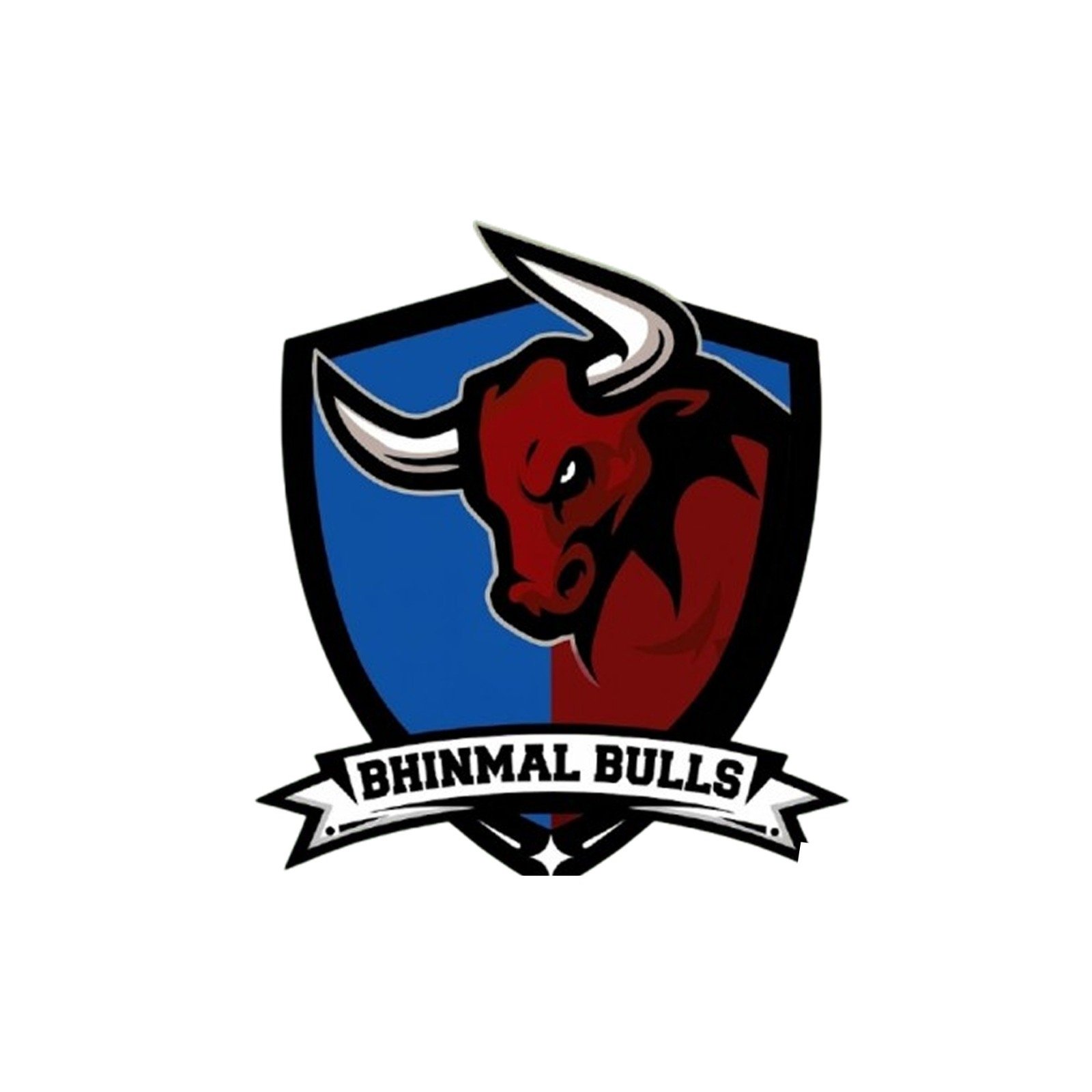 Bhinmal Bulls