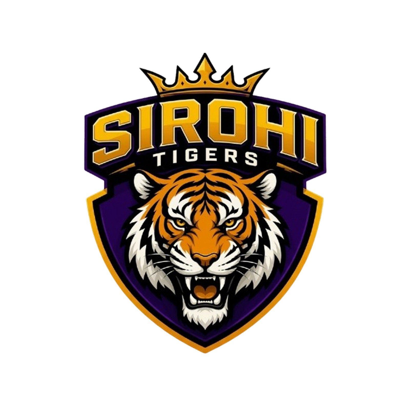 Sirohi Tigers